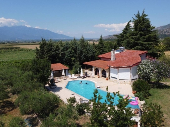 D0eed347 47b6 4dfe A5de 64d5e8391781