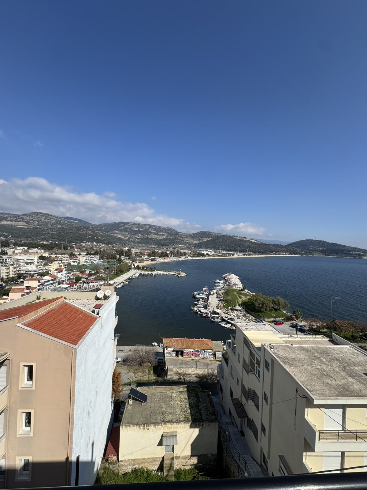 viber_image_2026-02-28_12-29-20-210