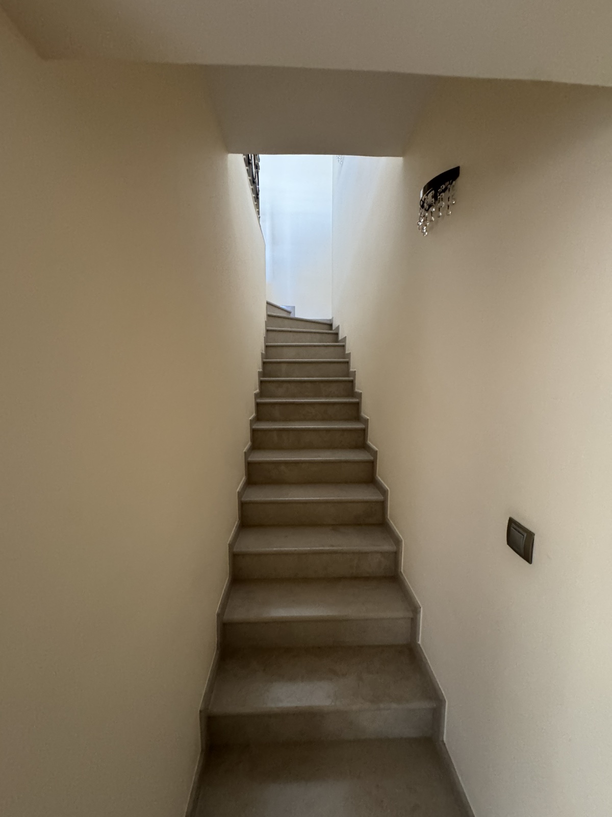 viber_image_2026-02-28_12-30-40-811